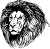 Lion Head Png Image